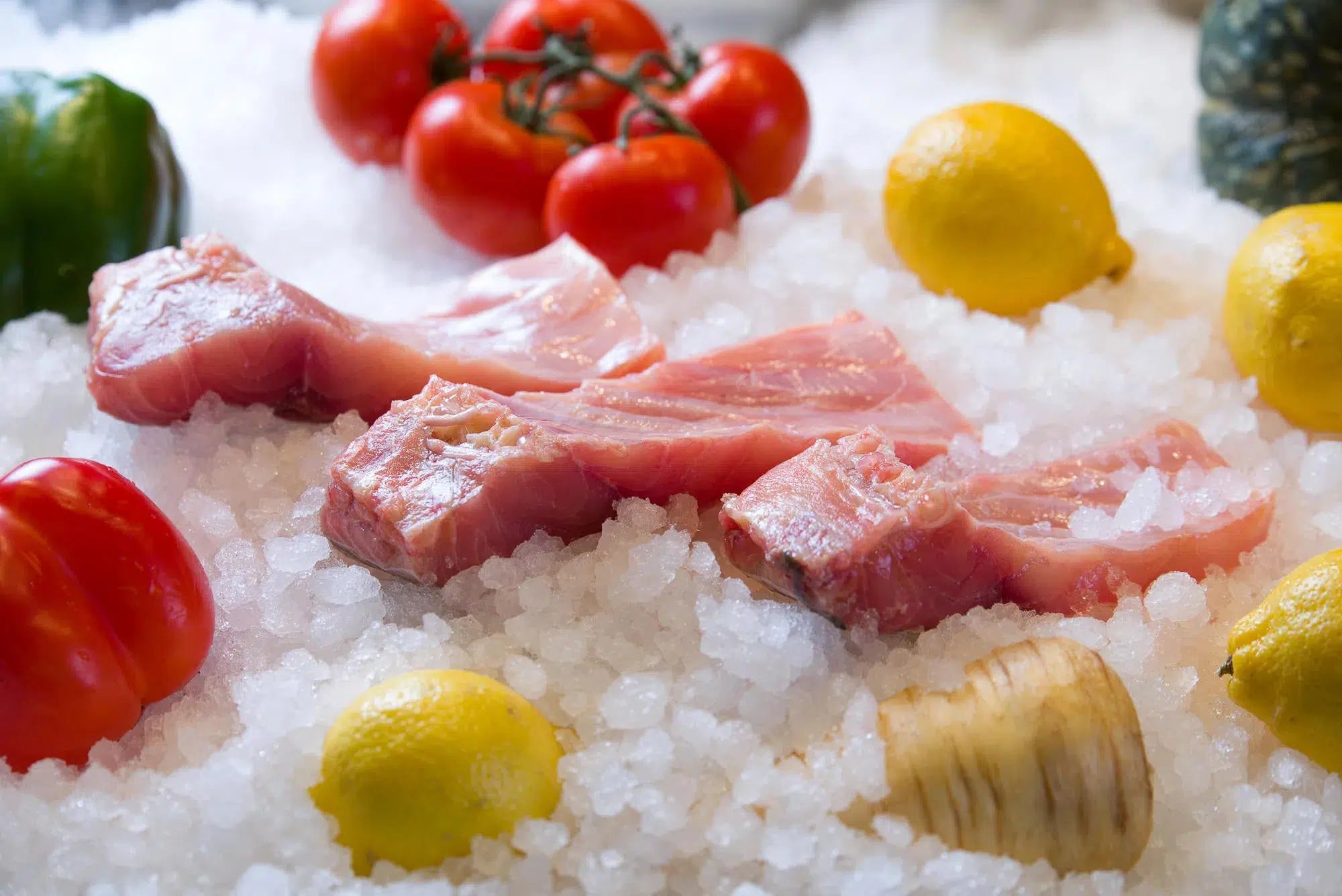 Carp Slice